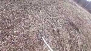 Железная Экспедиция