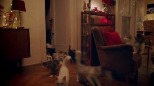 Новогодняя реклама Dreamies 2021-2022