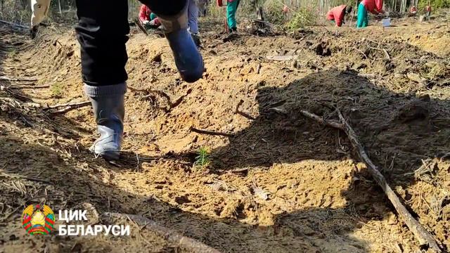 ЦИК Беларуси в Нацпарке Нарочанский смотреть онлайн