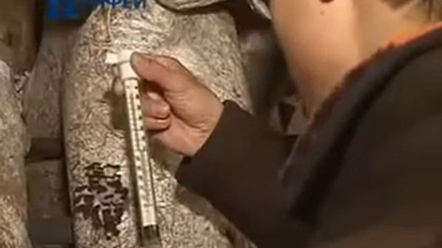 Выращивание грибов вешенки на ферме смотреть онлайн