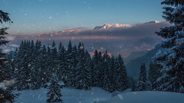 Футаж_ зима_лес_ 130143 смотреть онлайн