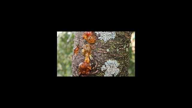 Строительные Магниты