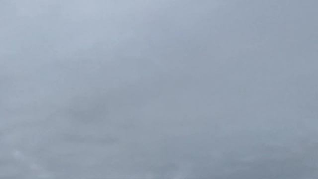 Голуби Викторовича. Орловский район,Ростовская область 06.05.2022 смотреть онлайн