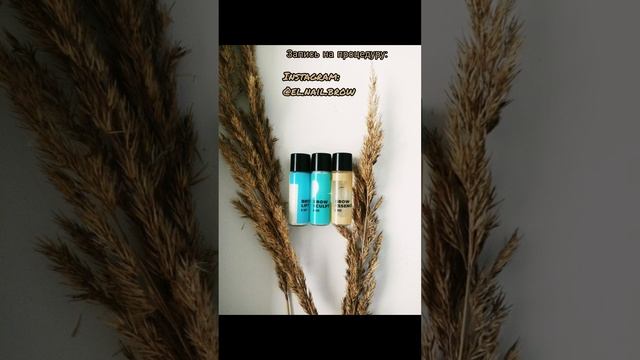Ламинирование бровей (долговременная укладка) запись на процедуру Instagram: @el.nail.brow смотреть онлайн