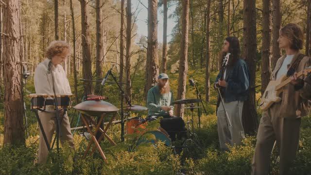 Yuuf-In-The-Sun-Live-in-Surrey-Hills