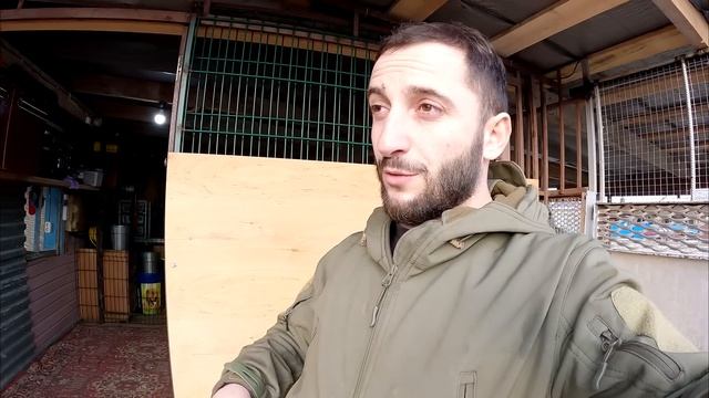 Собачка перестала меня бояться. Увиделись с обидчиком питбулем Мусой. Собачка устроила мне сюрприз. смотреть онлайн