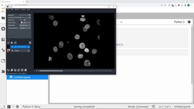 Learn the basics of Napari image viewer for Python смотреть онлайн