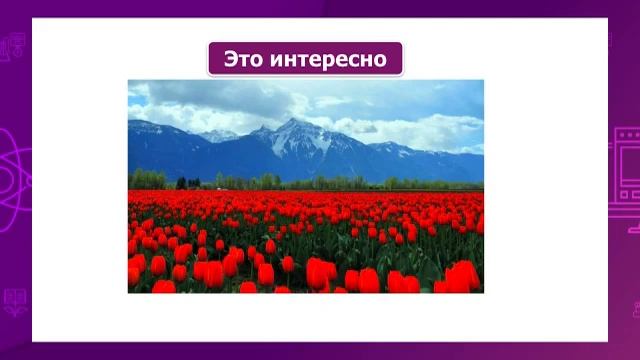 Русский язык. 2 класс. Смысл и интонация предложения. Живое украшение Земли /05.04.2021/ смотреть онлайн