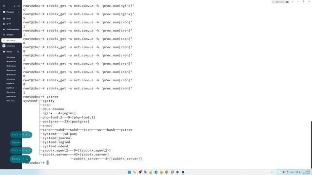 ZABBIX | Мониторинг Redis №2 [ Redis by Zabbix agent 2 ] с помощью Zabbix 6.4 | Debian 12 смотреть онлайн