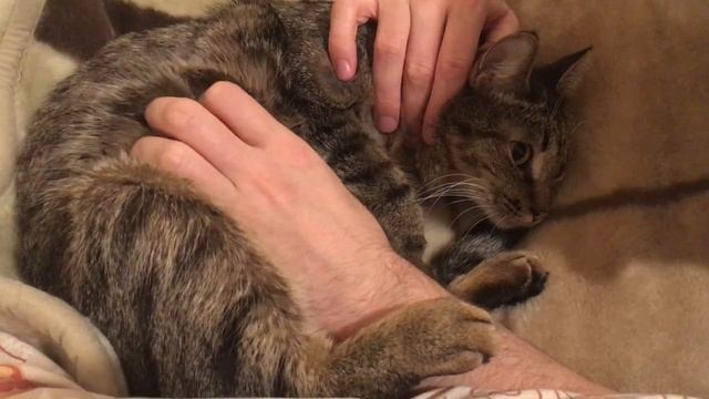 Тайсон учится доверять новым рукам