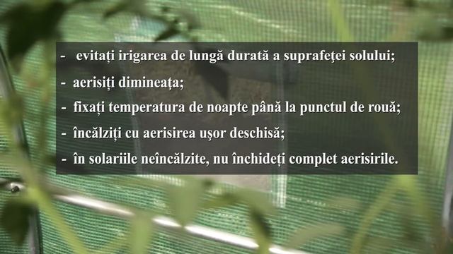 Protecția legumelor în teren protejat | InfOrganic смотреть онлайн