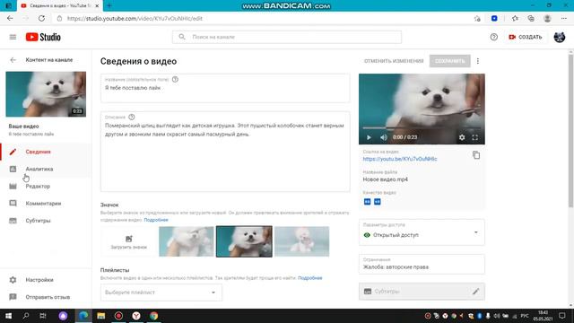 4000 часов просмотров и 1000 подписчиков 2021 смотреть онлайн