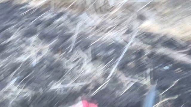 Шурф, будем шурфить домовую яму. Монеты будут!