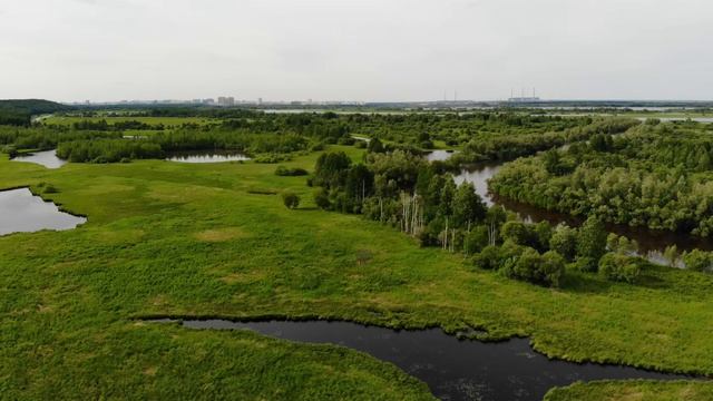 Пойма Оби возле Сургута смотреть онлайн
