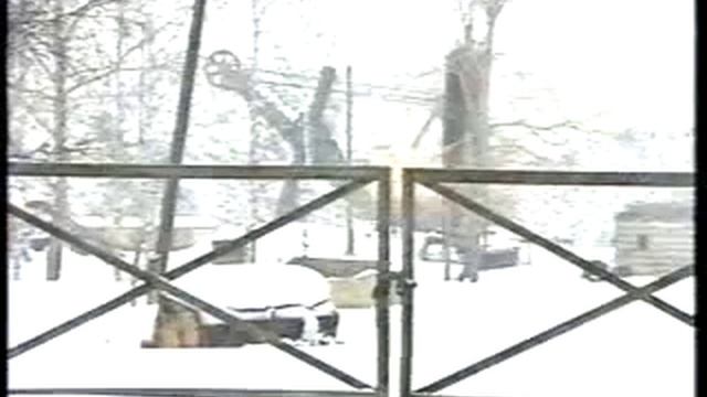 Лёвиха. смотреть онлайн