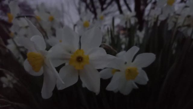 Утро 22.04.2021г. смотреть онлайн