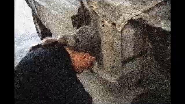 1968 Ford Mustang GT Fastback-East Coast Rust Bucket-Part 3-WE WILL NOT GIVE UP! смотреть онлайн