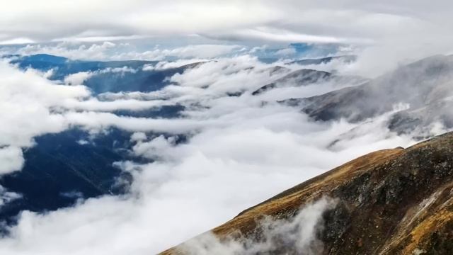 Клавдия едва увидела невесту сына, поняла, что никакой любовью тут не пахнет... смотреть онлайн