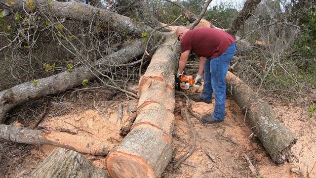 #80, MORE FIREWOOD! Stihl MS260 PRO смотреть онлайн