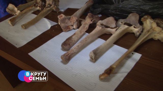 В кругу семьи. Бурятский Новый год. смотреть онлайн