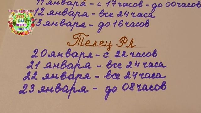 Когда квасить капусту в январе 2021 года? Агрогороскоп, кулинарный гороскоп на январь 2021 года смотреть онлайн