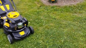 газонокосилка champion lm 4630