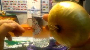 Опыт. Выращиваем лук в стакане воды