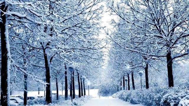 Зимний сон. Песни на слова Павла Голушко смотреть онлайн