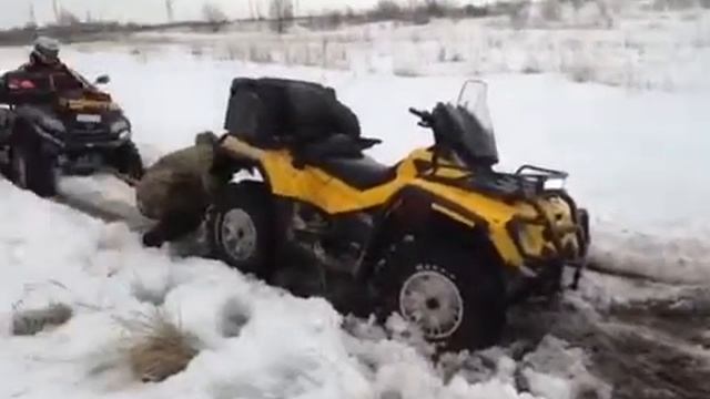 Брпи 1000 ,800 цф x6 x8 и гризли 700 снежный замес ))) смотреть онлайн