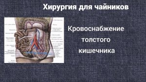 Хирургия для чайников. Кровоснабжение толстого кишечника.