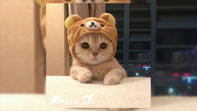 ?Музыка для флешмоба?Тренды из Likee и Tik Tok? смотреть онлайн