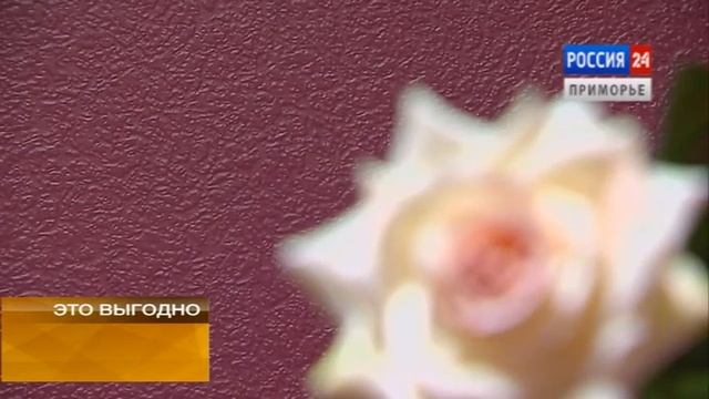 р 24 Краски смотреть онлайн