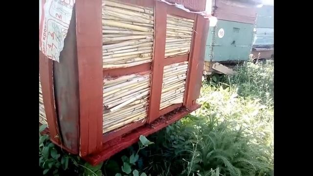 Неужели ульи из камыша лучше деревянных? улей из камыша,летки в ульях,жара смотреть онлайн