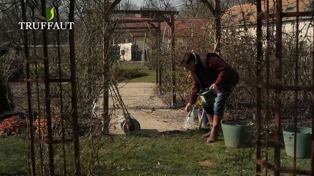 Comment faire un regarnissage de gazon ? - Truffaut смотреть онлайн