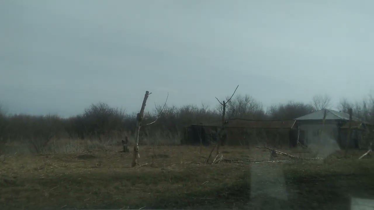 Деревня Чапаевка (Ладонка), Турковский район.