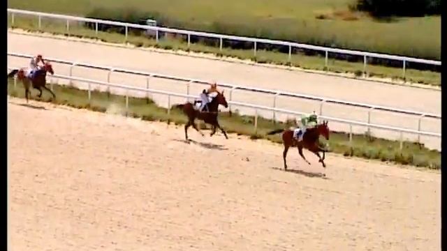 Ахалтекинский жеребец Демиртау. Скачка смотреть онлайн