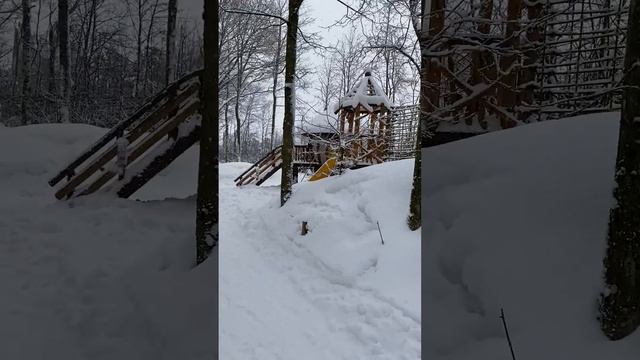 Озорные белки! Парк приключений для всей семьи ? смотреть онлайн