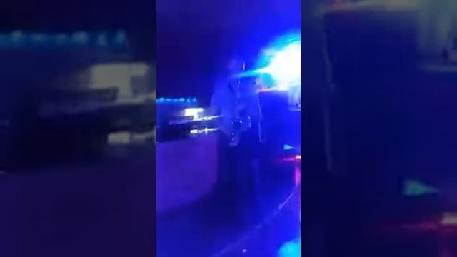 Саксофон Sunny Turiksax смотреть онлайн