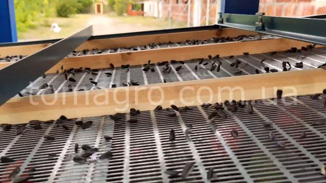 Вибросепаратор калибровочный КВ-5. Продукт испытания: подсолнечник. смотреть онлайн