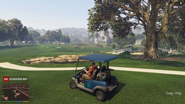 Vinewood Souvenirs — Mark (Gold Medal) — GTA 5 смотреть онлайн