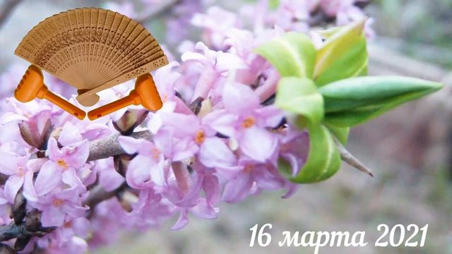 Грабли веерные Для любителей канала Грабли Лайф 16 03 21 смотреть онлайн