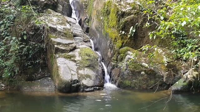 9 Треф смотреть онлайн