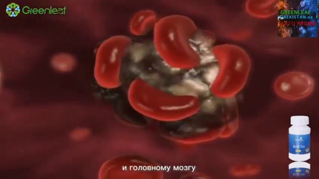 Брендовая продукции от корпорация Green Leaf смотреть онлайн