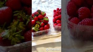 Супер отдых в Анапе🔥Абрикос Гарден и Хелиопарк Аква Резорт