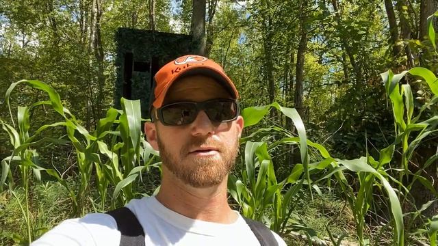 Swamp Food Plot - 30 Day Update - No Till Northwoods Sweet Feast & Clover смотреть онлайн