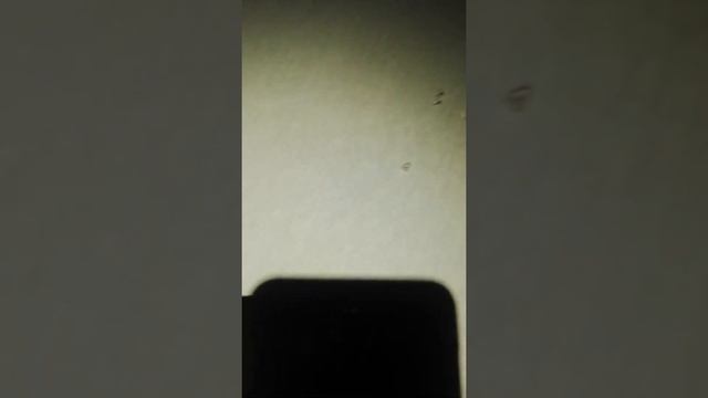 Tom Tom 6250 если не показывает трафик смотреть онлайн