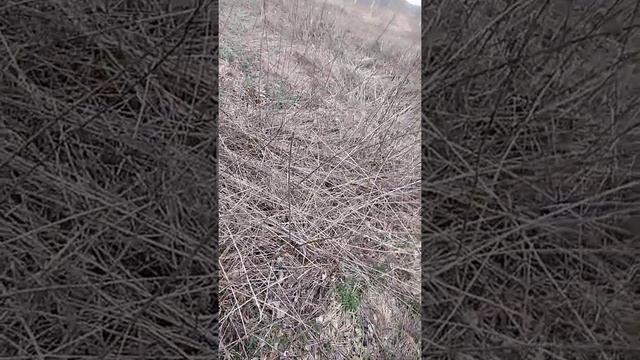 Узкоколейный электросамокат 9,04,2020 смотреть онлайн