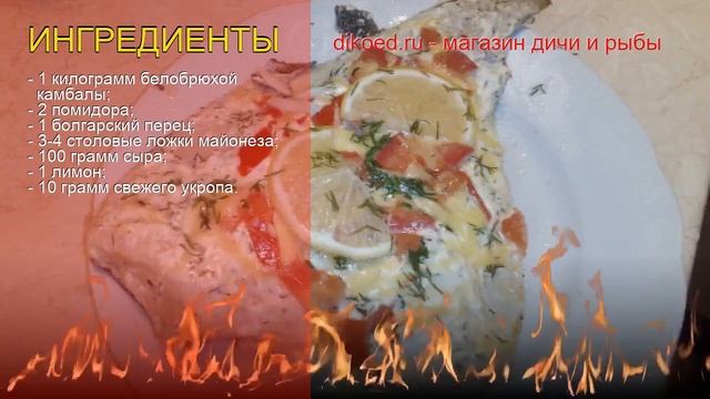 Анимационные Фильмы и Мультсериалы