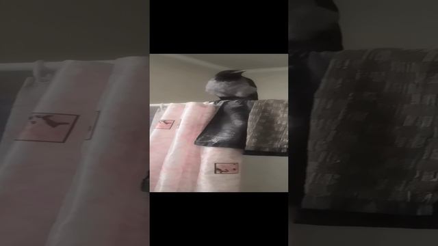 В ванной .mp4