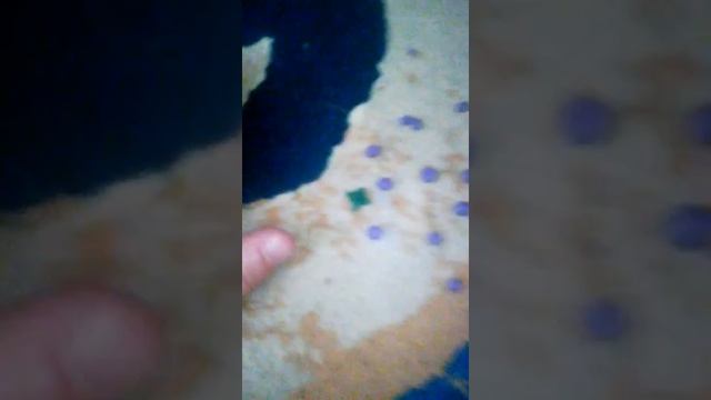 Как лепить виноград смотреть онлайн